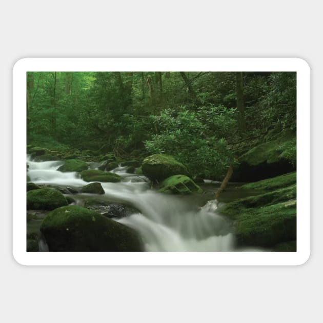 Roaring Fork River Flowing Through The Great Smoky Mountains National Park Sticker by AinisticGina